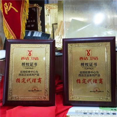 5G通信技術(shù)服務(wù)典范 定制金箔獎(jiǎng)牌與榮譽(yù)牌匾，